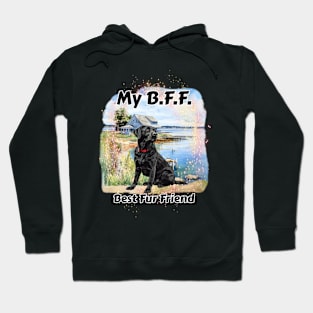 Dog - B.F.F. Black Lab Hoodie